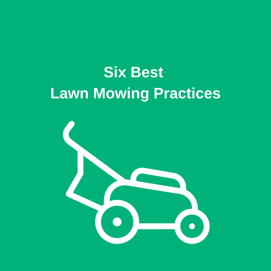 Six best Lawn Mowing Practices