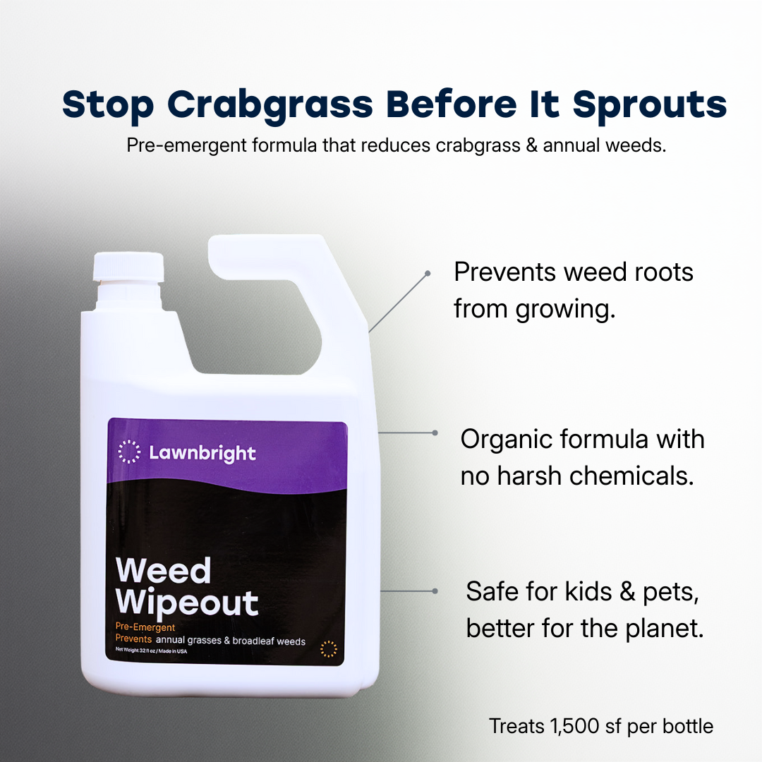 Lawnbright Weed Wipeout bottle with features highlighted on a gray background