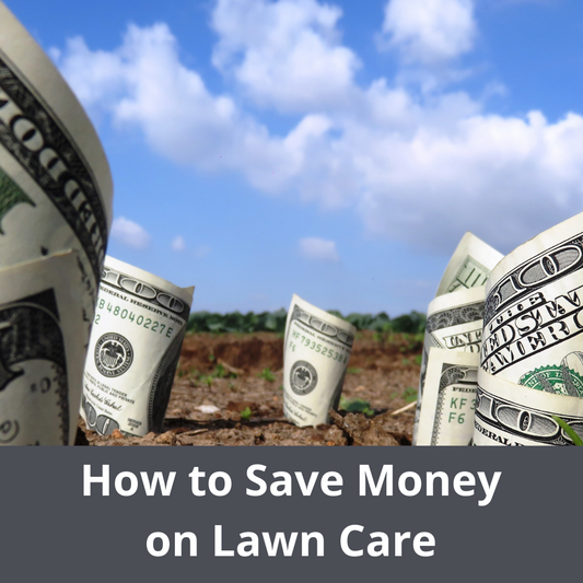 Rolled dollar bills planted in soil under a blue sky with the text How to Save Money on Lawn Care.