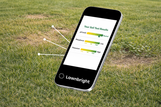 Soil test results on a phone with arrows pointing to lawn problem areas.