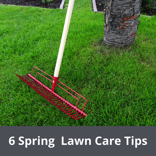 A red rake on green grass with the text 6 Spring Lawn Care Tips.