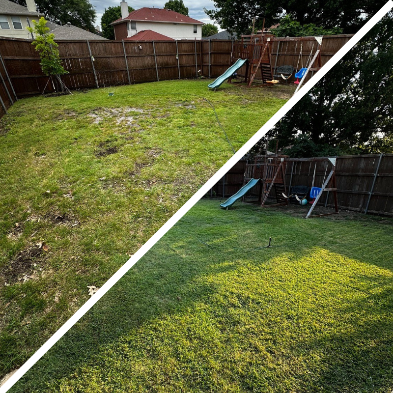 Before and after comparison of a backyard with green grass.