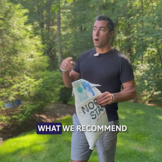 A video explaining North Star Grass Seed and what it does.
