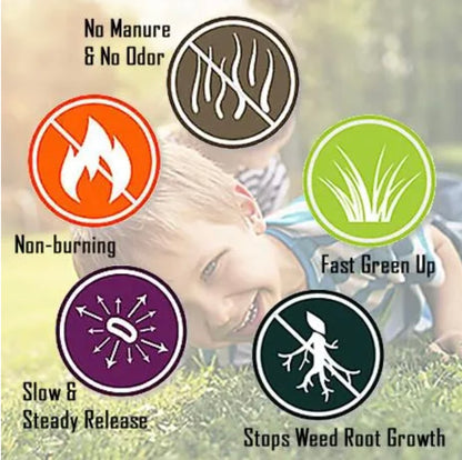A child lying on grass Collage of icons and text on lawn care benefits: no manure, non-burning, fast green up, slow release, and weed root control.